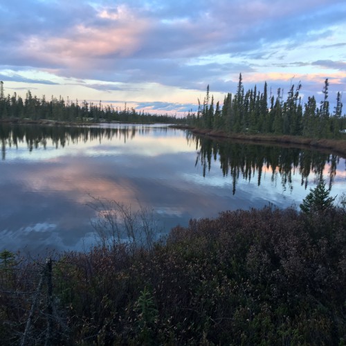 West Bear Gallery #2