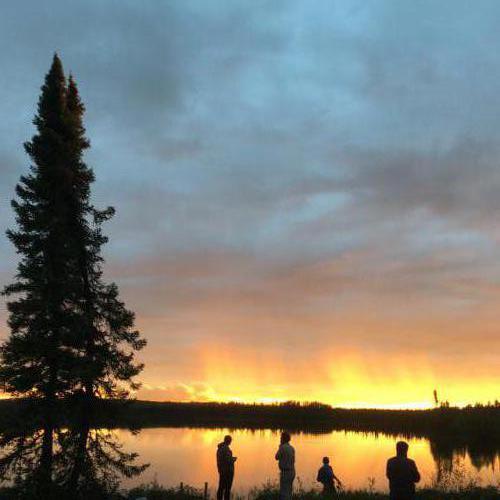 West Bear Gallery #3