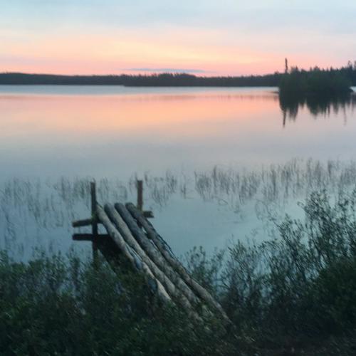 West Bear Gallery #6