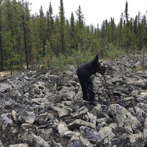 West Bear Gallery #4