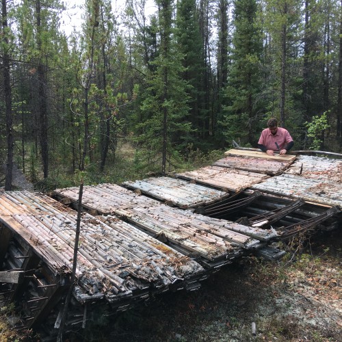 West Bear Gallery #7