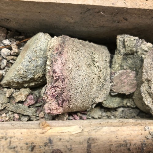 West Bear Gallery #1