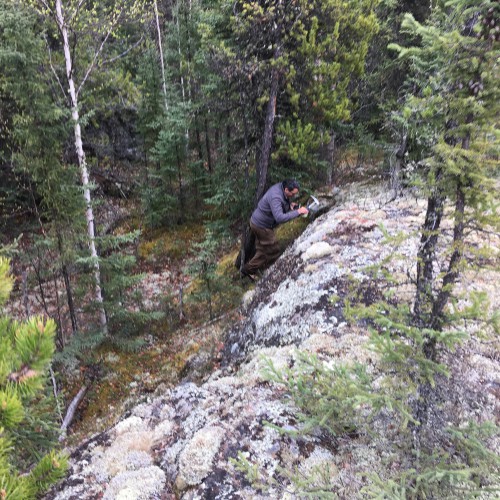 West Bear Gallery #9