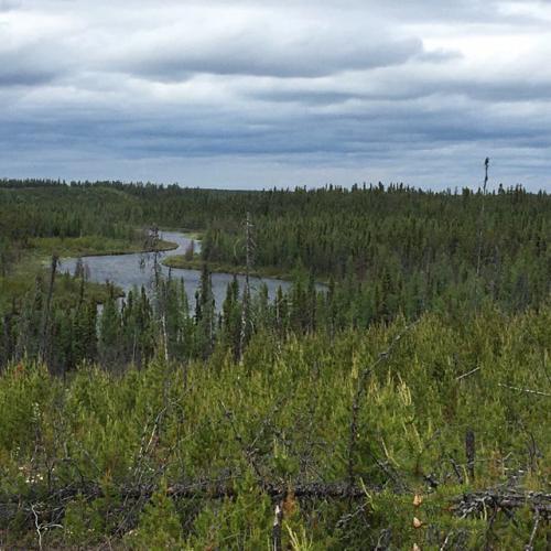 West Bear Gallery #8