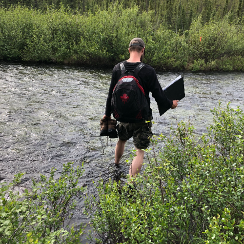 West Bear Gallery #5