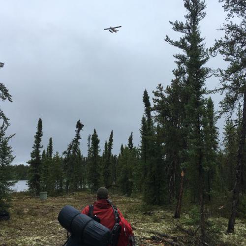 West Bear Gallery #10